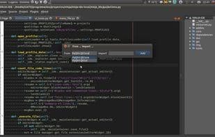 NINJA-IDE