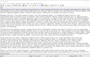 Notepad++