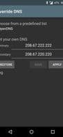 Override DNS