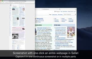 Page Screenshot for Safari