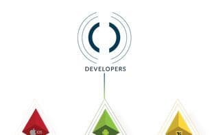 Pocket Network