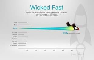 Puffin