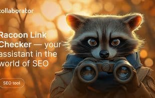 Racoon SEO Link Checker