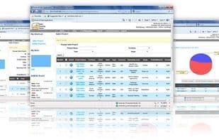 Sales Tracking Portal