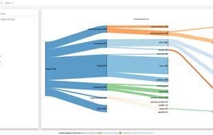 SankeyDiagram.net