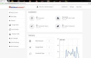 SEO Web Analyst