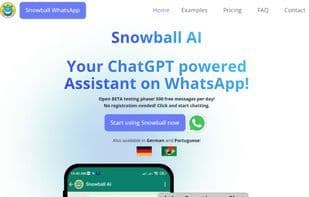 Snowball AI