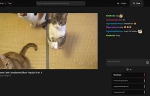 SyncTube