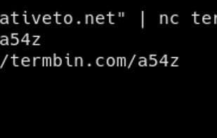 termbin.com