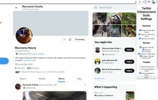 Twitter Enhancement Suite