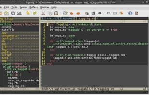 Vim