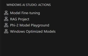 Windows AI Studio