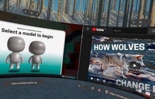 Wolvic VR Browser