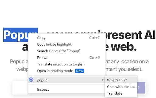 Popup - Google Plugin