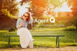 Agent Q