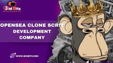 BIDBITS Opensea Clone Script