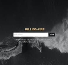 Billionaire.life Search