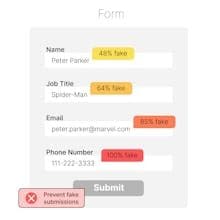 Block Fake Form Submission