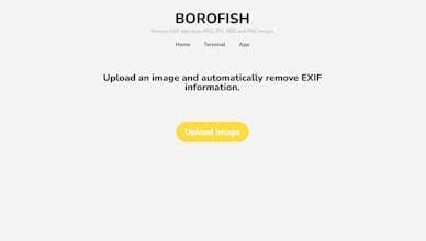 Borofish.com