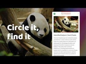 Circle to Search