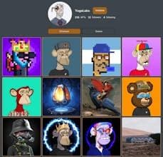 Digital Art Profiles
