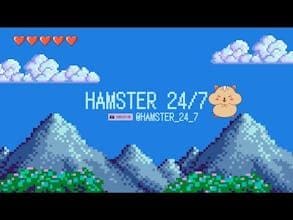 Hamster Kombat 24/7
