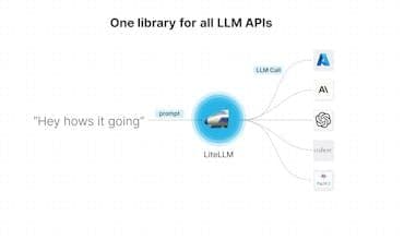liteLLM