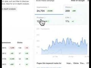 Master SEO