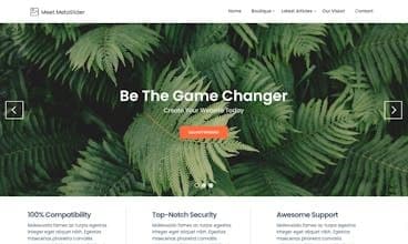 Meet MetaSlider WordPress Theme