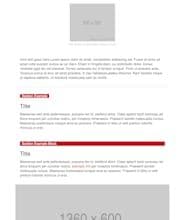 Newsletter Guide