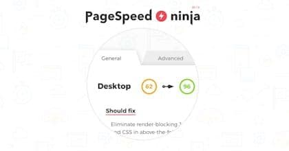 PageSpeed Ninja