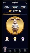 Rocky Rabbit