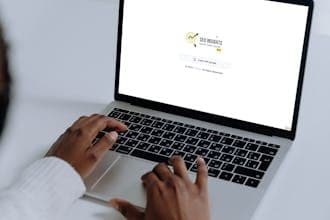 SEO Insights
