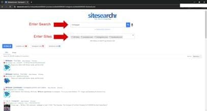 SiteSearchr - If Site Search Worked
