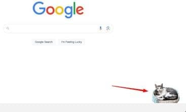 Sleeping cat in the browser