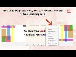 The Lead Magnet Library