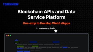Tokenview Blockchain APIs Platform