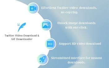 Twitter Video Downloader