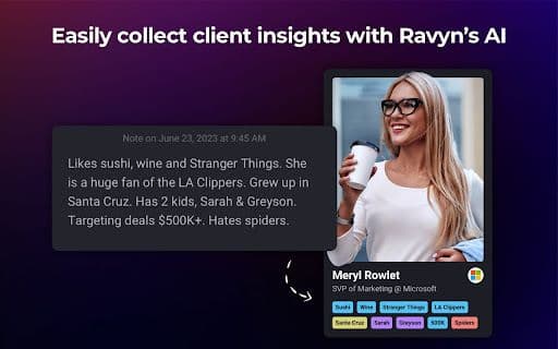 Ravyn - Google Plugin