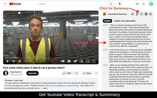 YouTube Summary - 谷歌插件